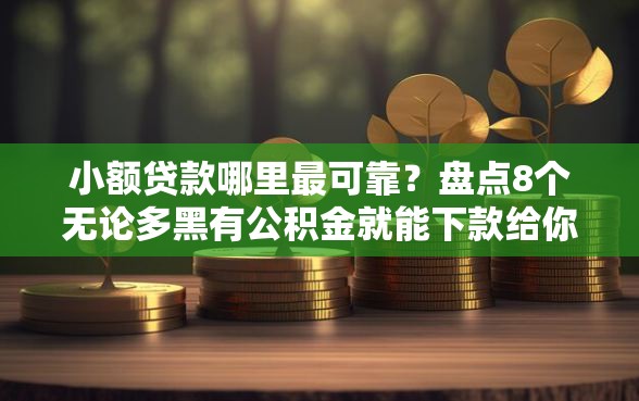 小额贷款哪里最可靠?盘点8个无论多黑有公积金就能下款给你参考 小额贷款哪里最可靠?盘点8个无论多黑有公积金就能下款给你参考