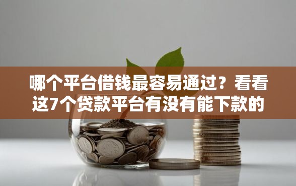 哪个平台借钱最容易通过？看看这7个贷款平台有没有能下款的