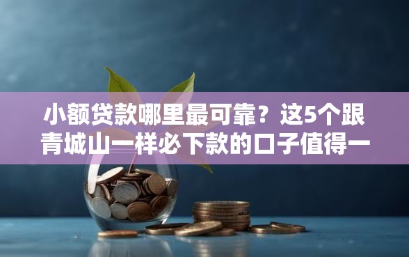 小额贷款哪里最可靠？这5个跟青城山一样必下款的口子值得一试