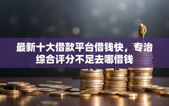 最新十大借款平台借钱快，专治综合评分不足去哪借钱