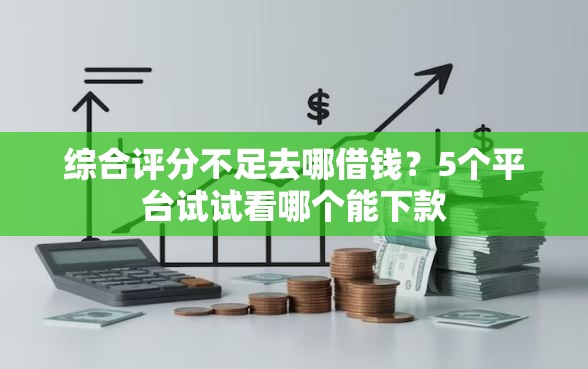 综合评分不足去哪借钱？5个平台试试看哪个能下款