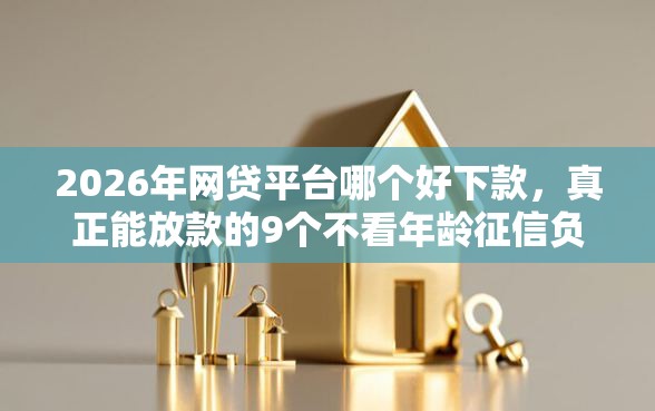 2026年网贷平台哪个好下款，真正能放款的9个不看年龄征信负债的软件推荐