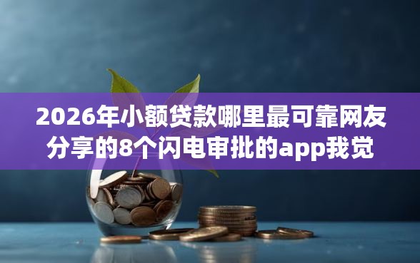2026年小额贷款哪里最可靠网友分享的8个闪电审批的app我觉得不错！