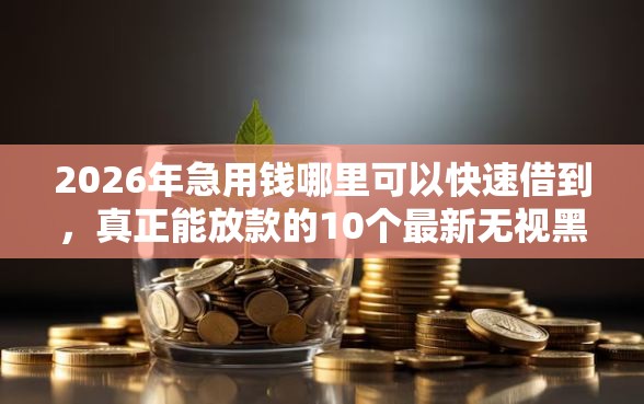 2026年急用钱哪里可以快速借到，真正能放款的10个最新无视黑白户网贷口子推荐