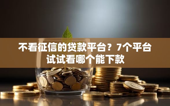 不看征信的贷款平台？7个平台试试看哪个能下款
