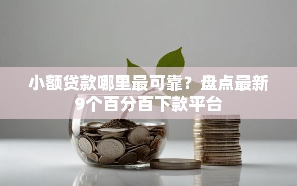 小额贷款哪里最可靠？盘点最新9个百分百下款平台