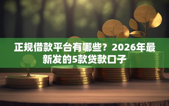 正规借款平台有哪些？2026年最新发的5款贷款口子