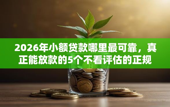 2026年小额贷款哪里最可靠，真正能放款的5个不看评估的正规的借贷平台推荐
