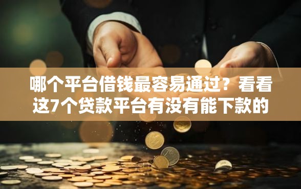 哪个平台借钱最容易通过？看看这7个贷款平台有没有能下款的