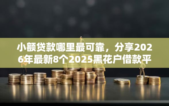 小额贷款哪里最可靠，分享2026年最新8个2025黑花户借款平台