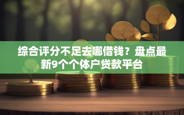 综合评分不足去哪借钱？盘点最新9个个体户贷款平台