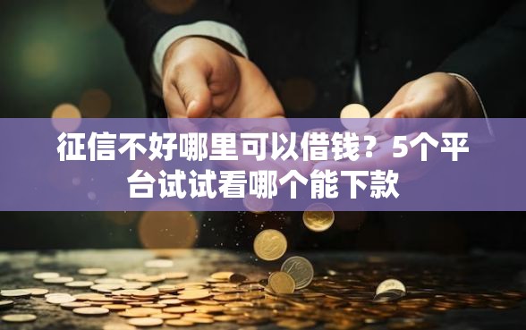 征信不好哪里可以借钱？5个平台试试看哪个能下款