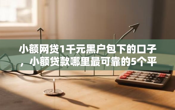 小额网贷1千元黑户包下的口子，小额贷款哪里最可靠的5个平台介绍