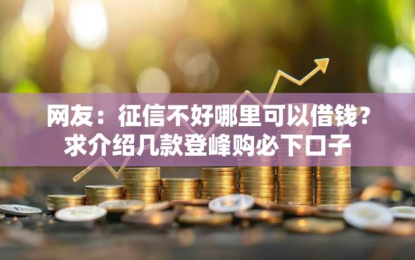网友：征信不好哪里可以借钱？求介绍几款登峰购必下口子