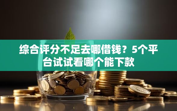 综合评分不足去哪借钱？5个平台试试看哪个能下款