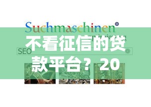 不看征信的贷款平台？2026最新测评10个简单容易贷款平台
