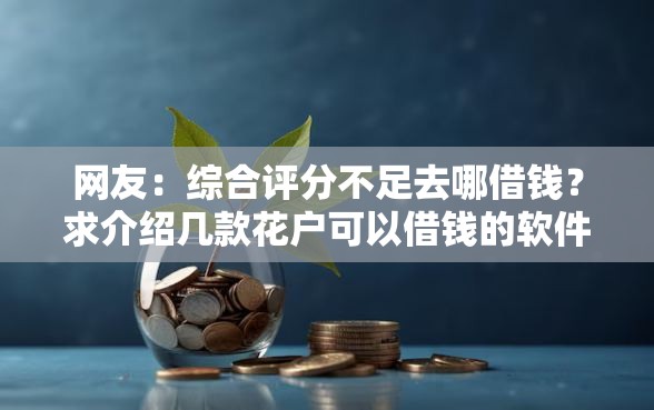 网友：综合评分不足去哪借钱？求介绍几款花户可以借钱的软件