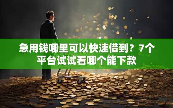 急用钱哪里可以快速借到?7个平台试试看哪个能下款 急用钱哪里可以快速借到?7个平台试试看哪个能下款