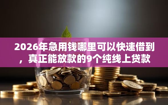 2026年急用钱哪里可以快速借到，真正能放款的9个纯线上贷款平台推荐