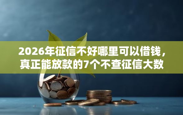 2026年征信不好哪里可以借钱，真正能放款的7个不查征信大数据的借款平台百分百通过推荐