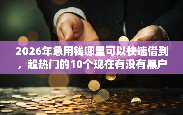 2026年急用钱哪里可以快速借到，超热门的10个现在有没有黑户下款的口子推荐