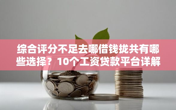 综合评分不足去哪借钱拢共有哪些选择？10个工资贷款平台详解
