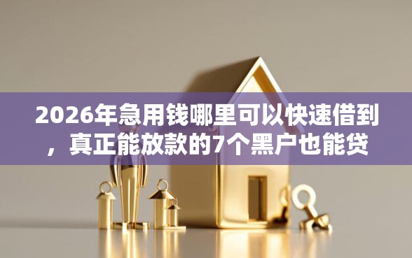 2026年急用钱哪里可以快速借到，真正能放款的7个黑户也能贷的平台推荐
