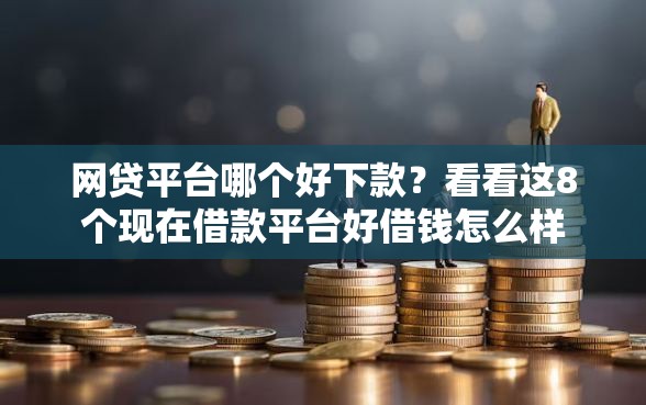 网贷平台哪个好下款？看看这8个现在借款平台好借钱怎么样
