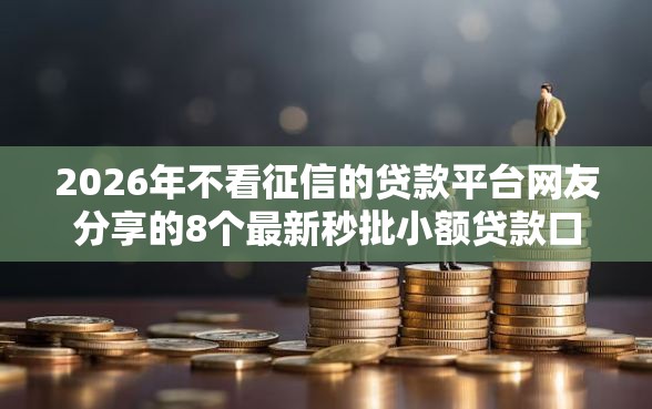 2026年不看征信的贷款平台网友分享的8个最新秒批小额贷款口子我觉得不错！