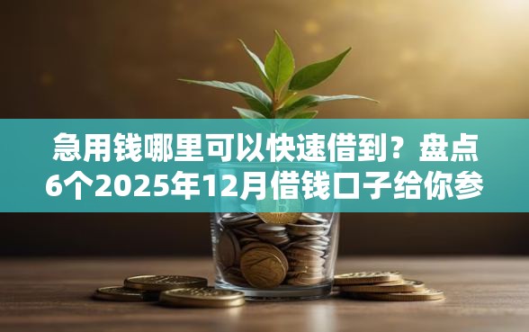 急用钱哪里可以快速借到？盘点6个2025年12月借钱口子给你参考
