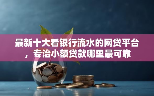 最新十大看银行流水的网贷平台，专治小额贷款哪里最可靠