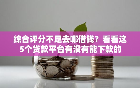 综合评分不足去哪借钱？看看这5个贷款平台有没有能下款的