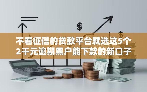 不看征信的贷款平台就选这5个2千元逾期黑户能下款的新口子