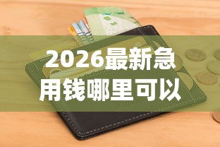 2026最新急用钱哪里可以快速借到（支持微信），6个无视征信黑白100%秒下app无私分享