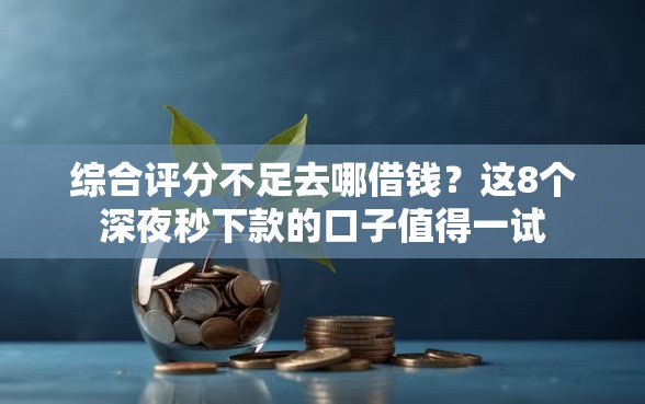 综合评分不足去哪借钱？这8个深夜秒下款的口子值得一试