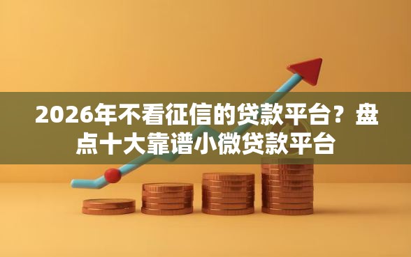 2026年不看征信的贷款平台？盘点十大靠谱小微贷款平台