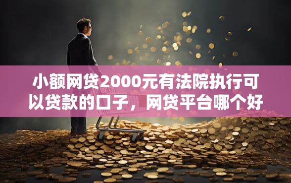 小额网贷2000元有法院执行可以贷款的口子，网贷平台哪个好下款的5个平台介绍