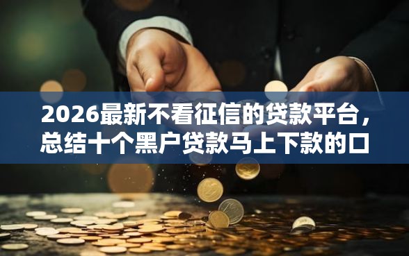 2026最新不看征信的贷款平台，总结十个黑户贷款马上下款的口子！