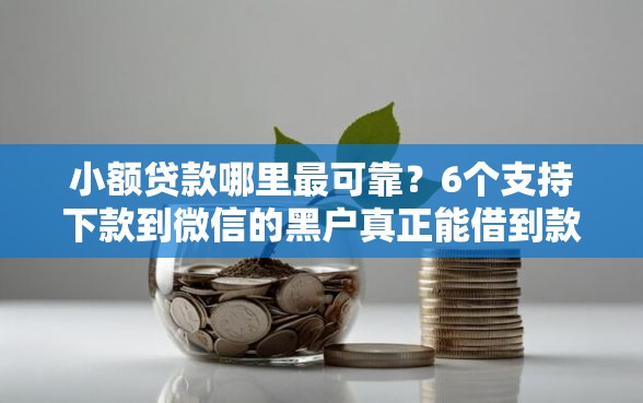 小额贷款哪里最可靠？6个支持下款到微信的黑户真正能借到款的口子