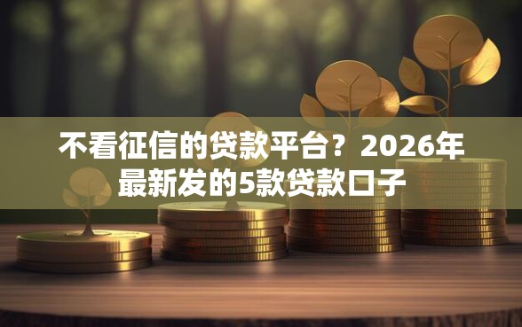 不看征信的贷款平台？2026年最新发的5款贷款口子