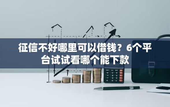 征信不好哪里可以借钱？6个平台试试看哪个能下款