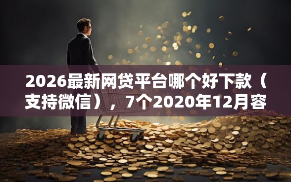 2026最新网贷平台哪个好下款（支持微信），7个2020年12月容易下款的口子无私分享