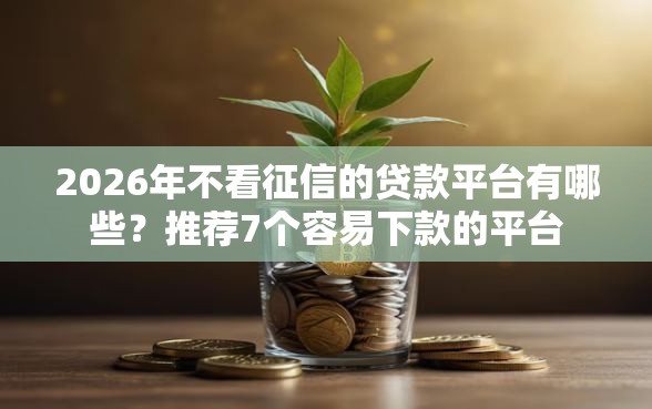 2026年不看征信的贷款平台有哪些？推荐7个容易下款的平台