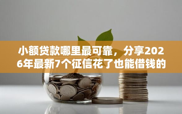 小额贷款哪里最可靠，分享2026年最新7个征信花了也能借钱的正规平台
