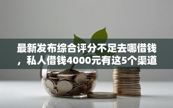 最新发布综合评分不足去哪借钱，私人借钱4000元有这5个渠道