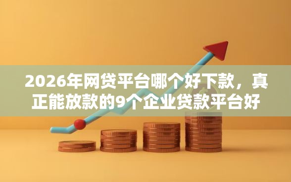 2026年网贷平台哪个好下款，真正能放款的9个企业贷款平台好推荐