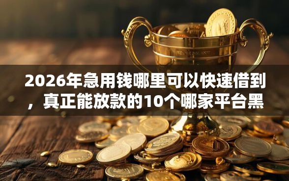 2026年急用钱哪里可以快速借到，真正能放款的10个哪家平台黑户可以借钱推荐
