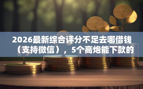 2026最新综合评分不足去哪借钱（支持微信），5个高炮能下款的平台无私分享