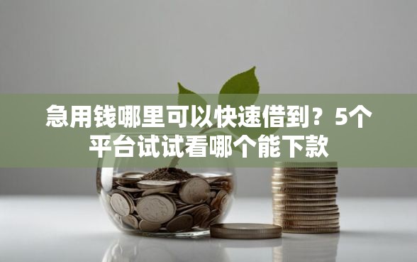 急用钱哪里可以快速借到？5个平台试试看哪个能下款