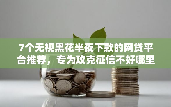 7个无视黑花半夜下款的网贷平台推荐，专为攻克征信不好哪里可以借钱难题